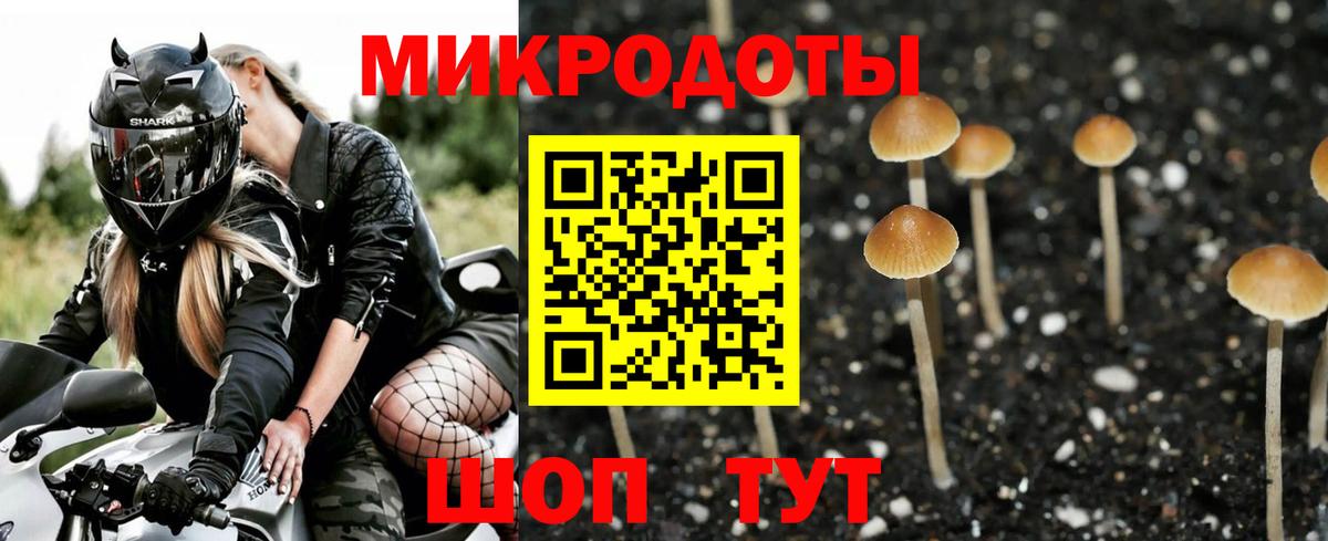 Псилоцибиновые грибы мицелий Наро-Фоминск