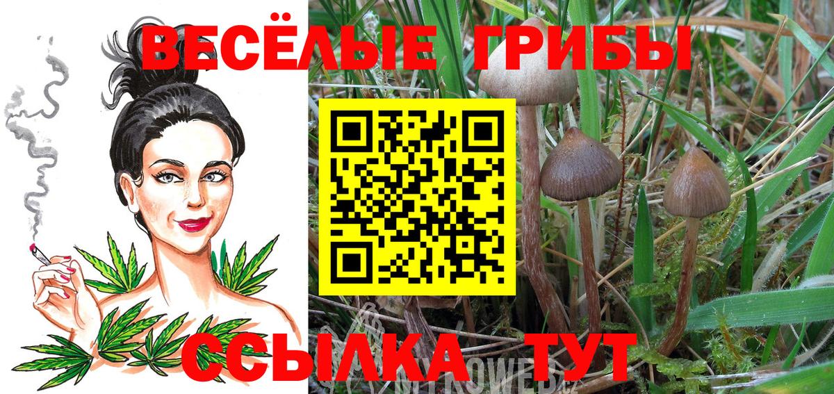 Галлюциногенные грибы Cubensis  Вход с VPN  Наро-Фоминск  Галлюциногенные грибы MAGIC MUSHROOMS 